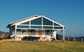 Tinton Hillstay